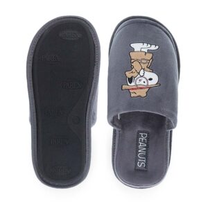 Χειμωνιάτικες Αντρικές Παντόφλες Snoopy Peanuts 10130168 Γκρι - Image 4